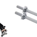 Sunny Health and Fitness 45 Degree Hyperextension Roman Chair, Steel, Grey, One Size + 35.5 cm Threaded Chrome Dumbbell Bar